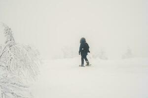 Polar expedition. A lonely traveler on snowshoes walks along a snowy slope in a foggy frosty shroud. Severe northern weather, poor visibility. photo
