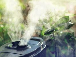 Humidification for cultivation of flowers. The steam from the air humidifier in the room. photo