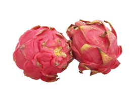 Dragon fruit isolated close-up png