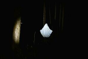 un fantasma en un oscuro bosque. oscuro fantasía concepto . de un misterioso blanco fantasma en un escalofriante bosque. foto