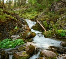 Atmospheric minimal green landscape with a long exposure of a large waterfall on a wet rock. Nature background of turbulent falling water stream on wet rocks. Square view. photo