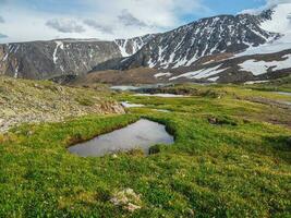 Green summer alpine meadow. Clear mountain pond on a green high-altitude plateau.  Mountain summer landscape with glacier and  small lakes. photo