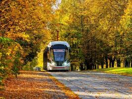 tranvía rieles en el corredor de el amarillo otoño arboles en Moscú foto