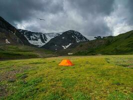 Camping on the summer green high-altitude plateau. Overcast landscape with vivid orange tent in sunlit green meadow with view to snow mountains under cloudy sky. photo