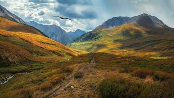 Panoramic colorful landscape with footpath along water streams in valley in autumn colors with view to autumn mountains and rocks in golden sunshine. Colorful autumn scenery with mountain creek. photo