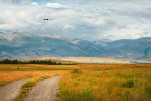 Summer turn path through mountains. Trekking mountain trail. Atmospheric rural minimalist alpine landscape with stony footpath among grasses in highlands. Pathway uphill. Way up mountainside. photo