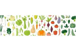 Gradient horizontal concept design. Rainbow composition full of different vegetables. Rectangle banner for farmer's market. Various veggies background. Agricultural hand drawn flat vector illustration