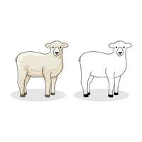 sheep vector for colored book isolated on white template design