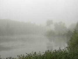 Fog in a rainy forest, jungle in the early morning photo