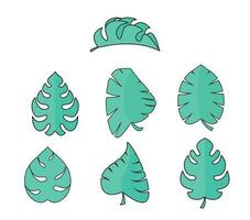 Set of monstera leaves The design of the Illustration of the vector Template of the Monstera