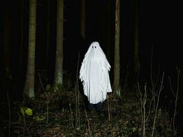 Funny ghost in a dark forest. Dark fantasy concept . Of a mysterious white ghost in a spooky forest. photo