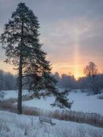 Scene of sunset or dawn in a winter forest with frosty bench on a clear frosty morning. Tree branches covered with snow and hoarfrost. Amazing vertical sunlight from the sun on a frosty day. photo