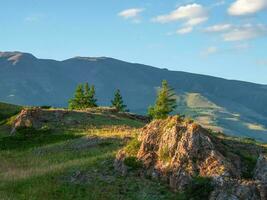 Atmospheric evening landscape with big rock and fir tree on hillside with view to sunlit mountain vastness under white clouds line on horizon. Impressive evening scenery with vast mountains in sunset. photo