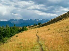 Narrow path on an autumn mountain slope. Footpath through valley in highland in sunny day. Hiking path. Spectacular view of distant giant mountains. photo