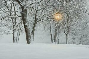 Blizzard in the evening winter park. Illuminated city park at evening. Snow-covered trees after a blizzard. Dark atmospheric winter cityscape. Tourism, recreation, Christmas, vacations, downtown. photo