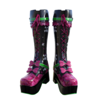 Paar von weiblich Stiefel isoliert 3d png