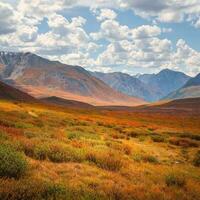 Scenic autumn landscape with sunset mountain pass under blue cloudy sky in changeable weather. Colorful autumn mountain scenery with hills and red dwarf birch shrub. Mountains in sunlight. Square view photo