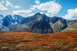 Magic autumn landscape and snow-capped mountain peaks in bright sunny day. Fall foliage color and big mountain with snow on top. Altai. photo