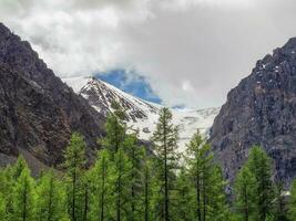 Minimalist atmospheric mountains landscape with big snowy mountain top over alpine green forest. Awesome minimal scenery with glacier on rocks. photo