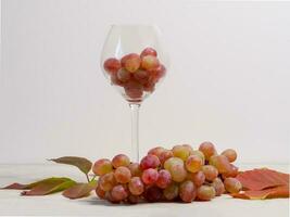 Glass filled with pink grapes and bunch of rpink grapes on the gray background. photo