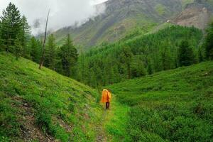 figura de un turista en un amarillo impermeable en un montaña camino. lluvioso montaña bosque, soltero trekking en malo clima. foto