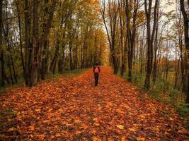 Woman tourist with backpack on dark autumn forest road under arch of trees covering the sky photo