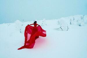 Young beautiful woman in long red dress over winter hill background and snowfall. Fairy tale girl on polar winter landscape. View from the back. photo