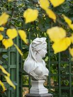 Marble statue surrounded by autumn foliage. Saint-Petersburg. photo