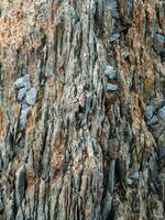 Texture of mountains. Cross section of rocks. Geological vertical layers. Colored layers of stones in section of the mount, different rock formations and soil layers. photo