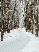 Alley in a snow-covered winter forest with silhouette of a woman in a red jacket walking into the distance. Winter natural background. photo