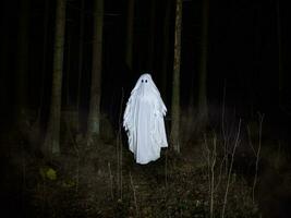 Funny white ghost in a dark misty forest. Dark fantasy concept. Of a mysterious white ghost in a spooky forest. photo