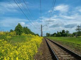 Railway tracks among yellow fields, country railroad photo