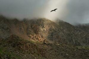 Mystical light with a flying eagle in the misty dark mountains. Dramatic sky on mountain peaks. Mystical background with dramatic mountains. photo