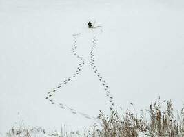 Winter fishing. Footprints in the snow. Silhouette of a fisherman on a snow-covered lake photo