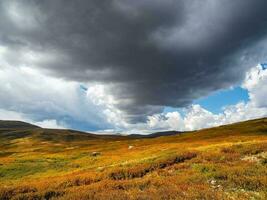 Light and darkness. Sunny light through dark heavy thunderstorm clouds before rain. Dramatic cloudscape. Big cloud over the autumn valley. photo