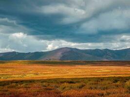 Minimalistic motley autumn landscape with yellow dwarf birch on hills and beautiful rocky mountains in sunlight under dramatic sky. Multicolor mountain scenery with unusual rocks in autumn colors photo