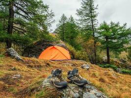 Wet hiking boots to dry. Atmospheric mountain landscape with tent under tree on hill in autumn colors in dense fog. photo