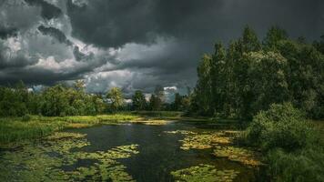 Summer thunderous landscape with a river, water flowers, forest and dark dramatic clouds photo