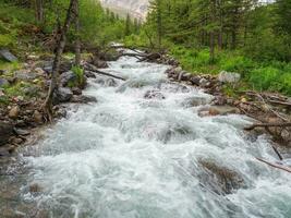 Mountain river flow through forest. Beautiful alpine landscape with azure water in fast river. Power majestic nature of highlands. photo