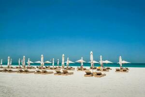 Umbrellas on the beach photo