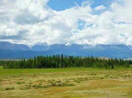 Dramatic view to cedar forest and high mountain range in sunlight under cloudy sky in changeable weather. Colorful mountain landscape with sparse growth against large mountains under cloudy sky. photo