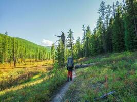 Hiking on the ecotrope. Solo hiking in the picturesque autumn mountain forest. Heavy climb in the mountains with a big backpack.Travel lifestyle, hiking hard track, concept in autumn vacation. photo