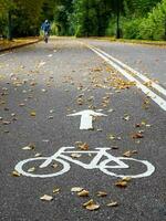 bicicleta camino en otoño. calificación en el asfalto. foto