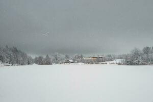 minimalista invierno antecedentes con un pueblo en el apuntalar de un nieve cubrir por el lago. un montón de nieve invierno campo paisaje. foto