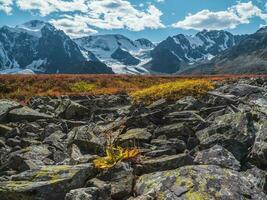 Roca río llamado además Roca correr, Roca corriente o Roca mar en otoño altai montañas. foto