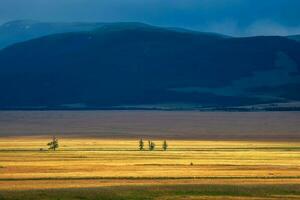 Immense distances with field and forest near dramatic high mountains. Bright summer steppe landscape. Scenic view to vast expanses of rolling hills in sunlight. photo