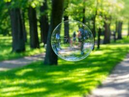 Soap bubble on a natural background, soft focus photo