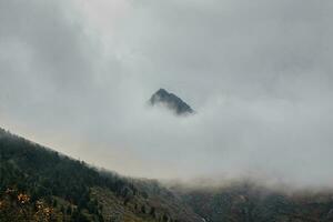 Darkness mountain background. Dramatic fog among giant rocky mountains. Ghostly atmospheric view to big cliff. Low clouds and beautiful rockies. Minimalist scenery mysterious place. photo