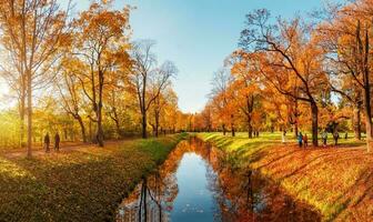 Beautiful sunny autumn day. Panorama of the autumn park with walking people. Tsarskoe selo. Russia. photo