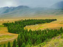 Collective camping with a green lawn in an eco-friendly green place on distance. Summer tourist complex, wooden guest houses against the background of fir-covered high mountains. photo